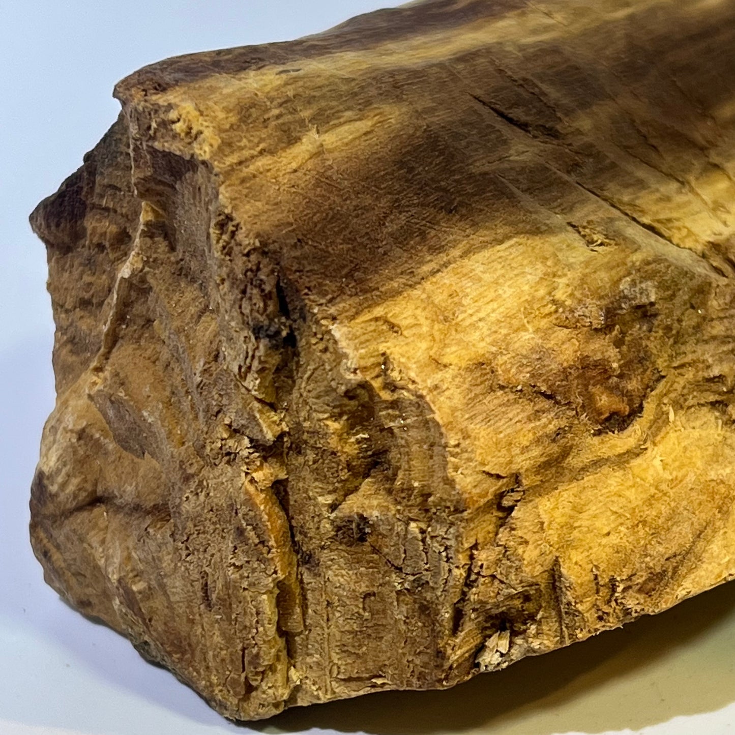 秘魯聖木塊 Palo Santo Chunk