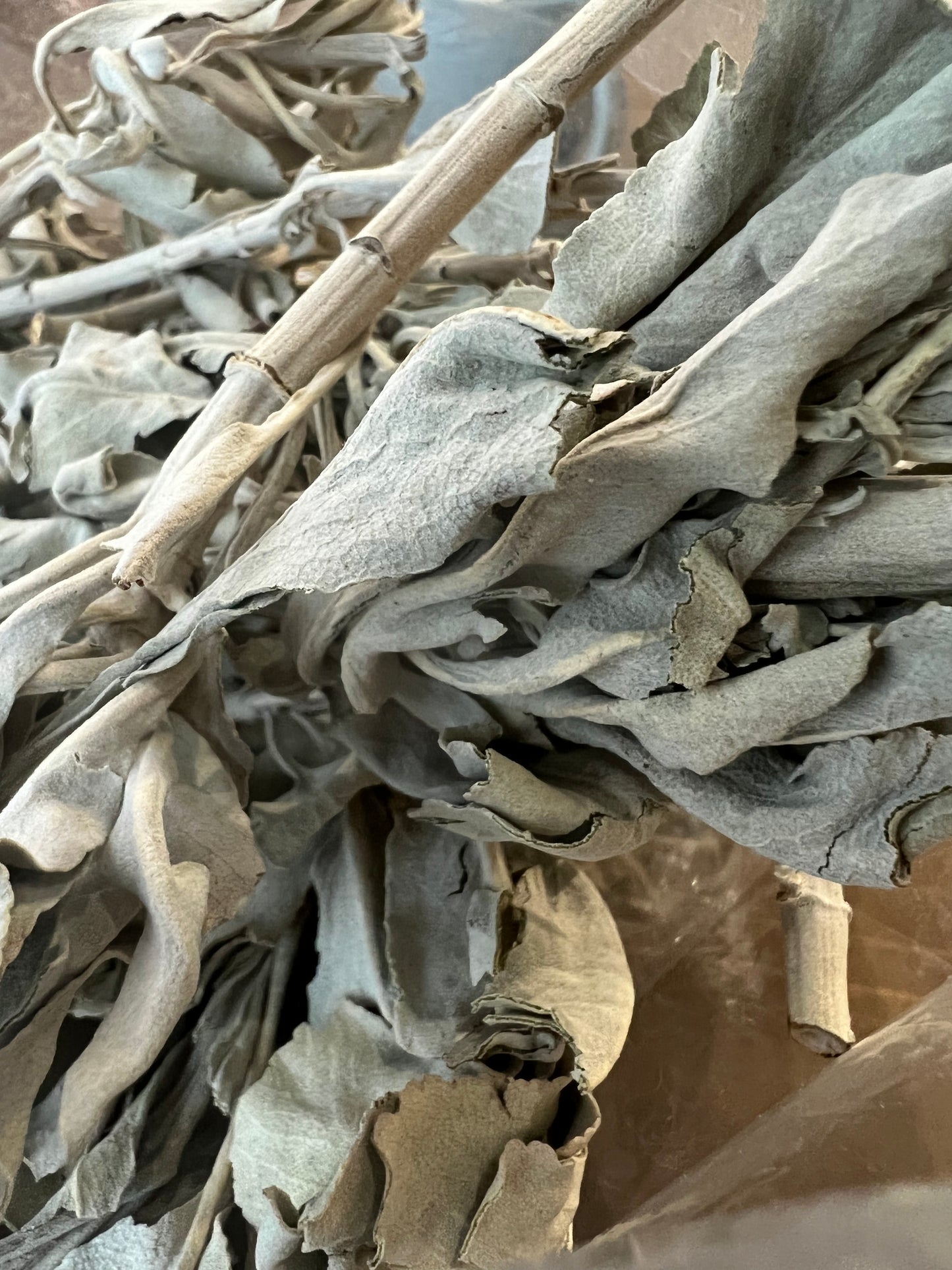 白鼠尾草茶